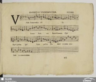 XXXIIII. Unterholtzer, Rupert: Valde honoratus est