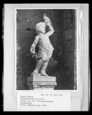 Falkner (Putto) : Falkner (Putto). Sandstein. 18. Jahrhundert. Moritzburg, Fasanenschlösschen, südliche Treppenanlage