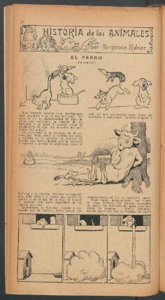 El perro - (Conclusión) : Historia de los animales