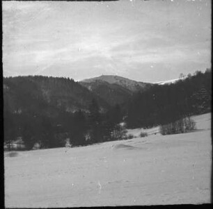 Blick zum Feldberg