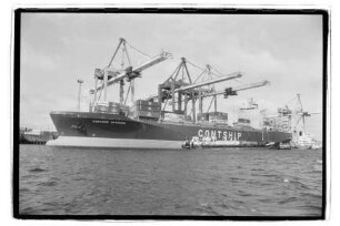 Contship Optimism