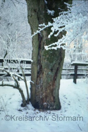 Nütschau: Schloßstraße / Nütschauer Weg: Donnerbrücke über die Trave: im Winter: Geländer: im Vordergrund Baum