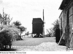 Bockwindmühle. Ansicht aus dem Mühlengehöft : Collm? Bockwindmühle. Ansicht aus dem Mühlengehöft