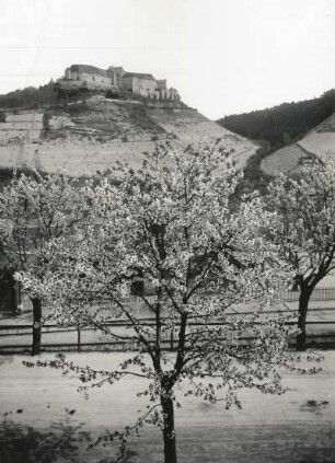 Schloss Neuenburg : Freyburg (Unstrut). Schloss Neuenburg vom Bahnhof gesehen