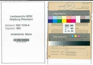Entnazifizierung Maria Amtenbrink , geb. 08.06.1917 (Amtsangestellte)