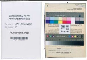 Entnazifizierung Paul Pruessmann , geb. 26.07.1886 (Tierarzt)