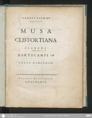 Musa Cliffortiana florens Hartecampi 1736 prope Harlemum