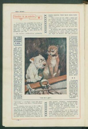 Como cão e gato!...