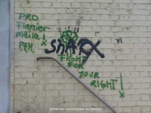 FIGHT FOR YOUR RIGHT! | PRO Flanier meile! | P.F.M.
