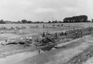 Elster-Luppe Regulierung, 10.09.1934 : Beseitigung einer Mooreiche im Flur Hänichen