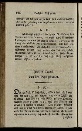 Zweites Capitel. Von den Schlüssenbeinen. § 592-599.