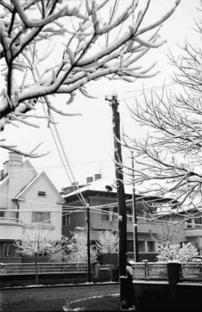 Bukarest: Villen in der [Straße] Dr. Lister, Vordergrund verschneite Bäume