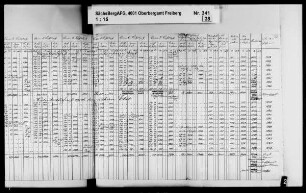 Einbringung eines tiefen Stolln von der Elbe in das Bergamtsrevier Freiberg (Rothschönberger Stolln), Band 17