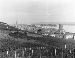 Rüdesheim am Rhein, Weinberge : Blick über Weinhänge zur Stadt Rüdesheim