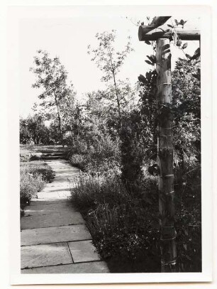 Reichsgartenschau 1939 auf dem Killesberg, Stuttgart: Plattenweg im Garten, Pergola