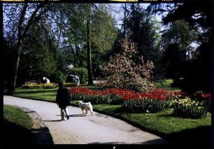 Lörrach: Rosenfelspark mit blühenden Tulpen