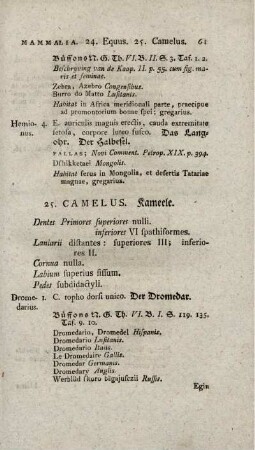 23. CAMELUS