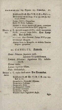23. CAMELUS