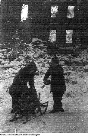 Dresden. Kinder beschaffen Feuerholz, Winter 1946/47