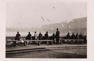 Kinder füttern Möwen an der Binnenalster
