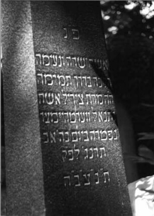 Grabstein 239 (Index: 100085057) Maße HxBxT: 197x70x45 cm Beschreibung: Obelisk, getreppter Sockel: Grabstein 239B
