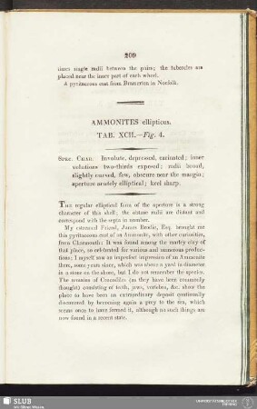 Ammonites ellipticus. Tab. XCII. - Fig. 4