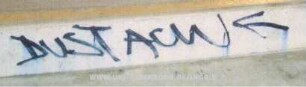 DUST ACW