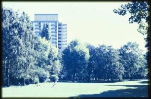 Blick in den Volkspark Wilmersdorf