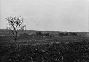 Landschaftsblick : Blick in eine Graslandschaft, im Hintergrund Häuser und Pflanzungen.