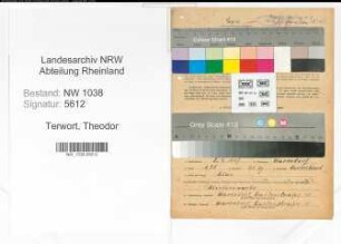 Entnazifizierung Theodor Terwort , geb. 08.04.1907 (Schlosser)