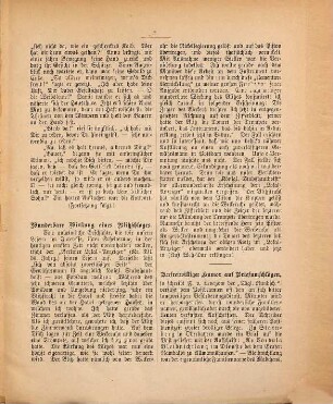 Donau-Zeitung. Sonntagsblatt. 1894/95