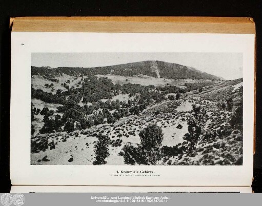 4. Kroumirie-Gebirge.