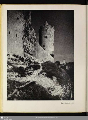 Burg Saaleck (78)