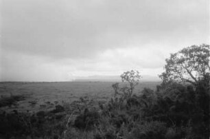 Sudan-Tiefland : Blick auf den Nebeleinbruch im Sudan-Tiefland