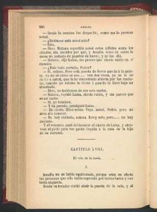 Capítulo XVIII. - El velo de la novia.