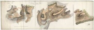 Ober-Forst-Amt Odenheim. Odenheimer Forst 1807 Litt. A. Plan der Odenheimer Commun-Wald