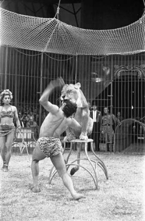 Vorstellung des Zirkus "Apollo".