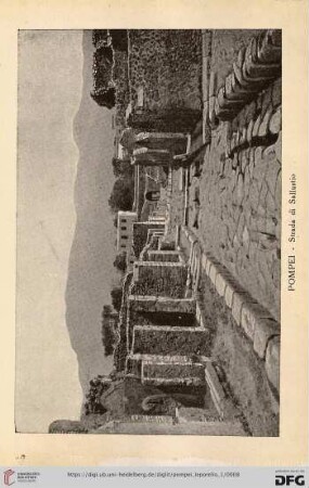 Pompei – Strada di Sallustio – Route de Sallustre – The Street of Sallustius – Strasse von Sallustio.