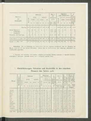 V. Eheschliessungen, Geburten und Sterbefälle in den einzelnen Monaten des Jahres 1906.