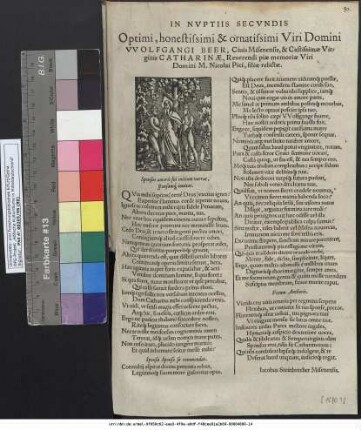 In Nvptiis Secvndis Optimi, honestissimi & ornatissimi Viri Domini VVolfgangi Beer, Ciuis Misenensis, & Castissimæ Virginis Catharinæ, Reuerendi piæ memoriæ Viri Domini M. Nicolai Pici, filiæ relictæ