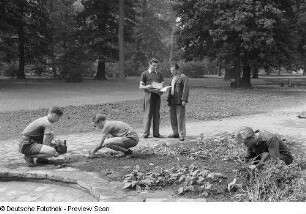 Anlegen von Blumenbeeten im Clara-Zetkin-Park