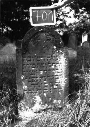 Grabstein 701 (Index: 100104846) Material: Sandstein Zustand: angewittert, unten Rand Abplatzungen Maße HxBxT: 96x52x9 cm Beschreibung: Stele, eingezogener Rundbogenabschluss, Schriftfeld eingetieft mit Konvexbogenabschluss: Grabstein 701