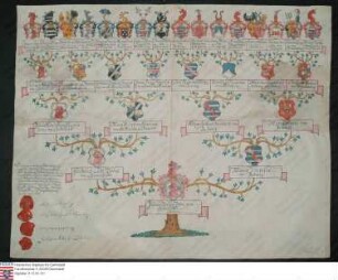 Ahnenprobe des Johann Philipp Zobel v. Giebelstadt. - ausgefertigt 1801 Juni 2, Pergament