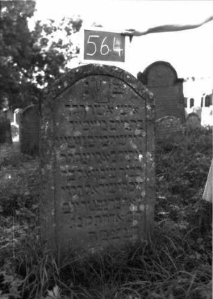 Grabstein 564 (Index: 100102500) Material: Sandstein Zustand: leicht verwittert Maße HxBxT: 110x57x9 cm Beschreibung: Stele, Konvexbogenabschluss, im Bogen eingeritzte Levitenkanne, Schriftfeld eingetieft Symbolik: Levitenkanne: Grabstein 564