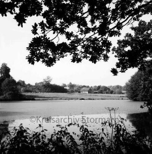 Tralau: Herrenhaus: Park: Teich: vorn und rechts Bäume: hinten Haus und Wald