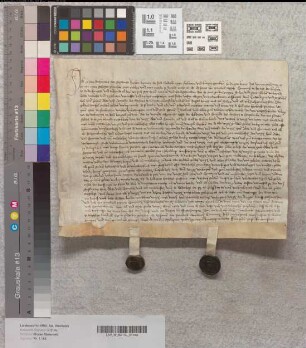 Richter Johann Dethmaers zu Wiedenbrück bekundet, daß Paul Tassche, Kanoniker zu Wiedenbrück, dem Abt Johann und dem Kloster Marienfeld Renten aus dem Twyehues vor Wiedenbrück im Kirchspiel St. Veit verkauft habe. Zeugen: Paul Wordeman, Kanoniker, Johann Mynnenprys, Bürgermeister zu Wiedenbrück.