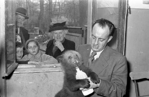 Aprilscherz der "BNN" zur Geburt von zwei Bären-Babys im Karlsruher Zoo.