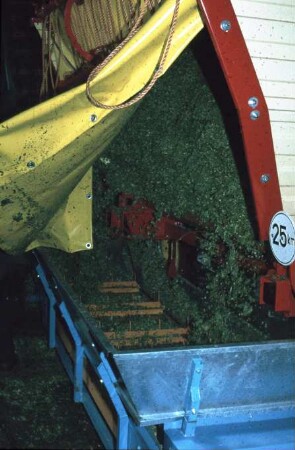 Fotografie: Fütterungstechnik, Futtervorlage, Ladewagen