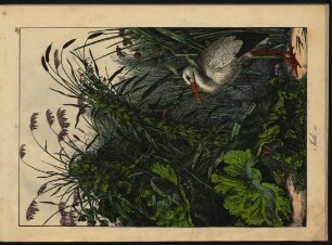 Tafel 39.: Juli, e.