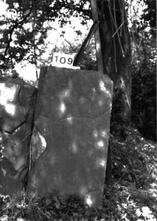 Grabstein 109